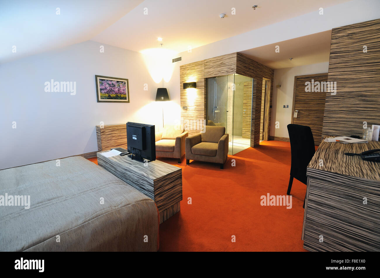 Modern Hotel Room Appartment Indoor With Double Bed And Lcd