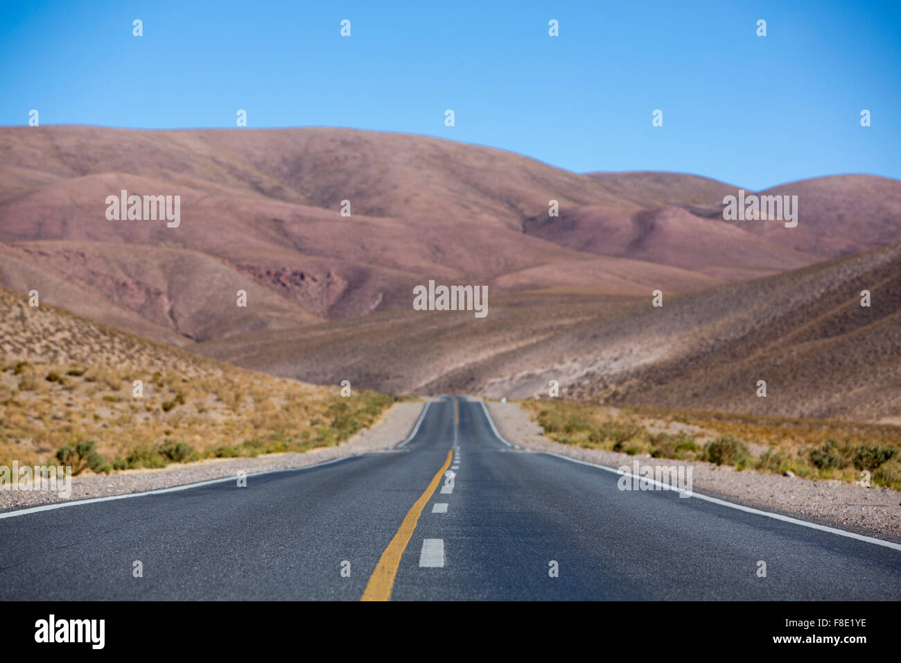 National Route 40 in Northern Argentina Stock Photo - Alamy