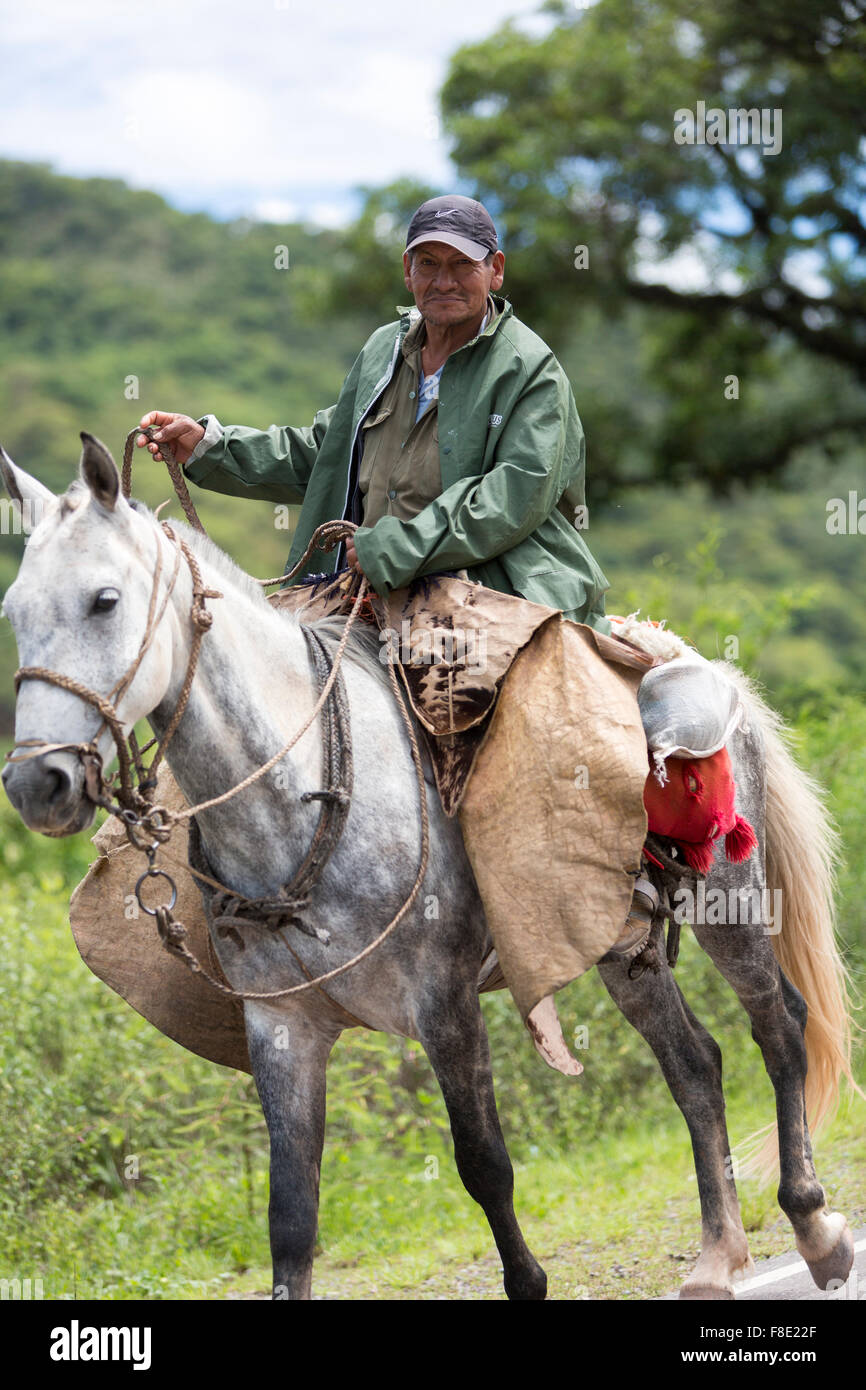 Gaucho on his horse traveling on the ruta 40, Argentina Stock Photo