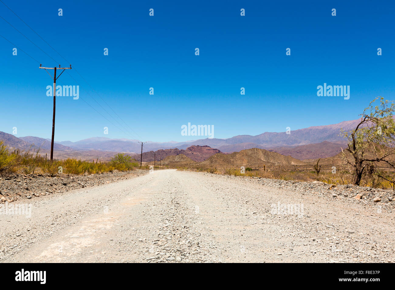 National Route 40 in Northern Argentina Stock Photo Alamy