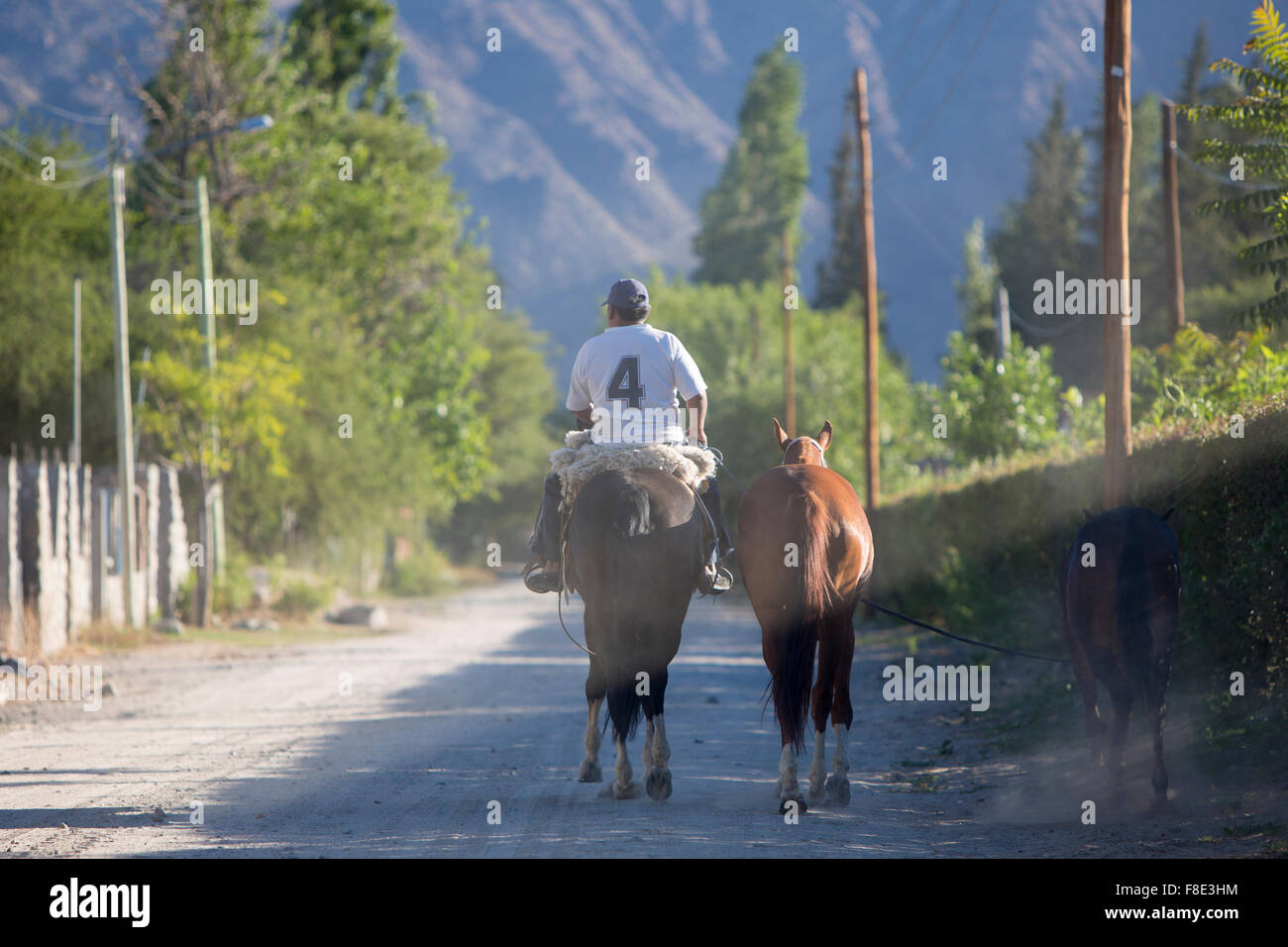 Gaucho riding his horse in Cafayate, Argentina Stock Photo