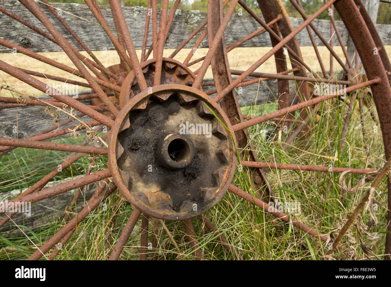 Rusty spoked farm equipment wheel rusting in a field next to a fence