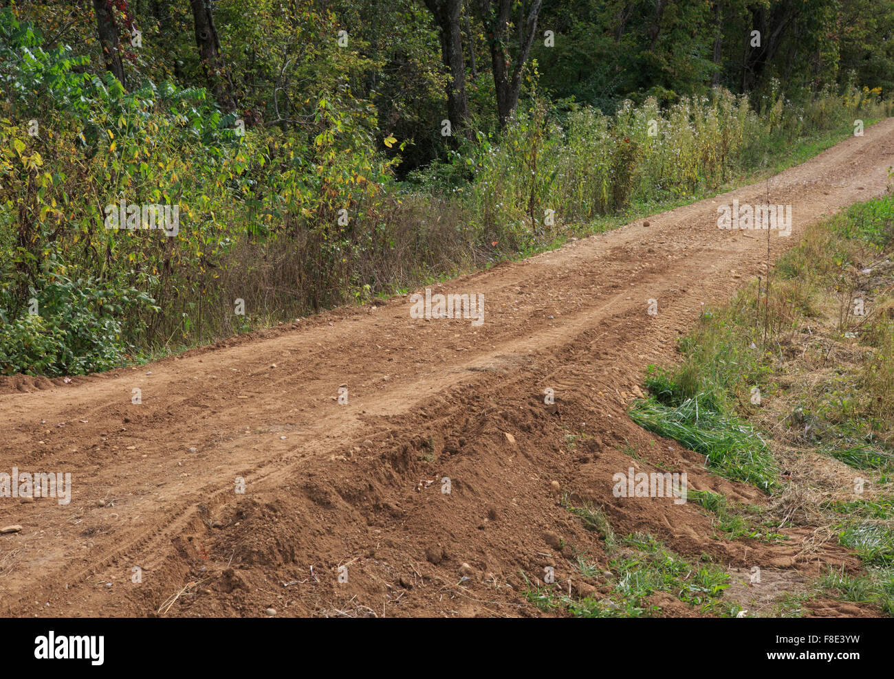 Dirt road recently regraded. Stock Photo