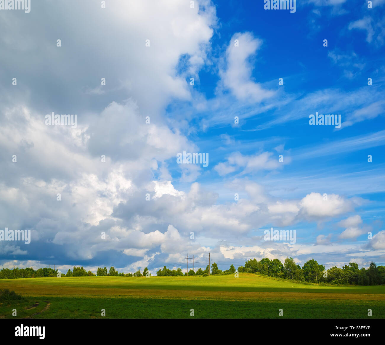 Bright blue sky with cumulus clouds and a field with green grass ...