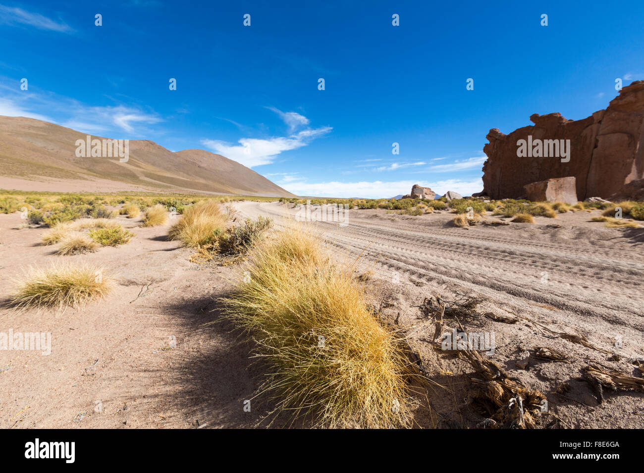 Sandy road track, grass and arid landscape against a clear blue sky. Bolivia Stock Photo