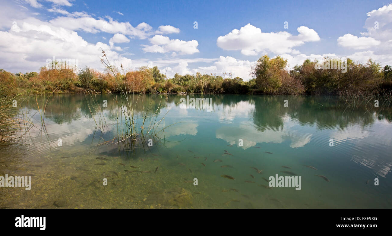 Israel, Northern District Ein Afek Nature Reserve on the Naaman River Photographed in November Stock Photo