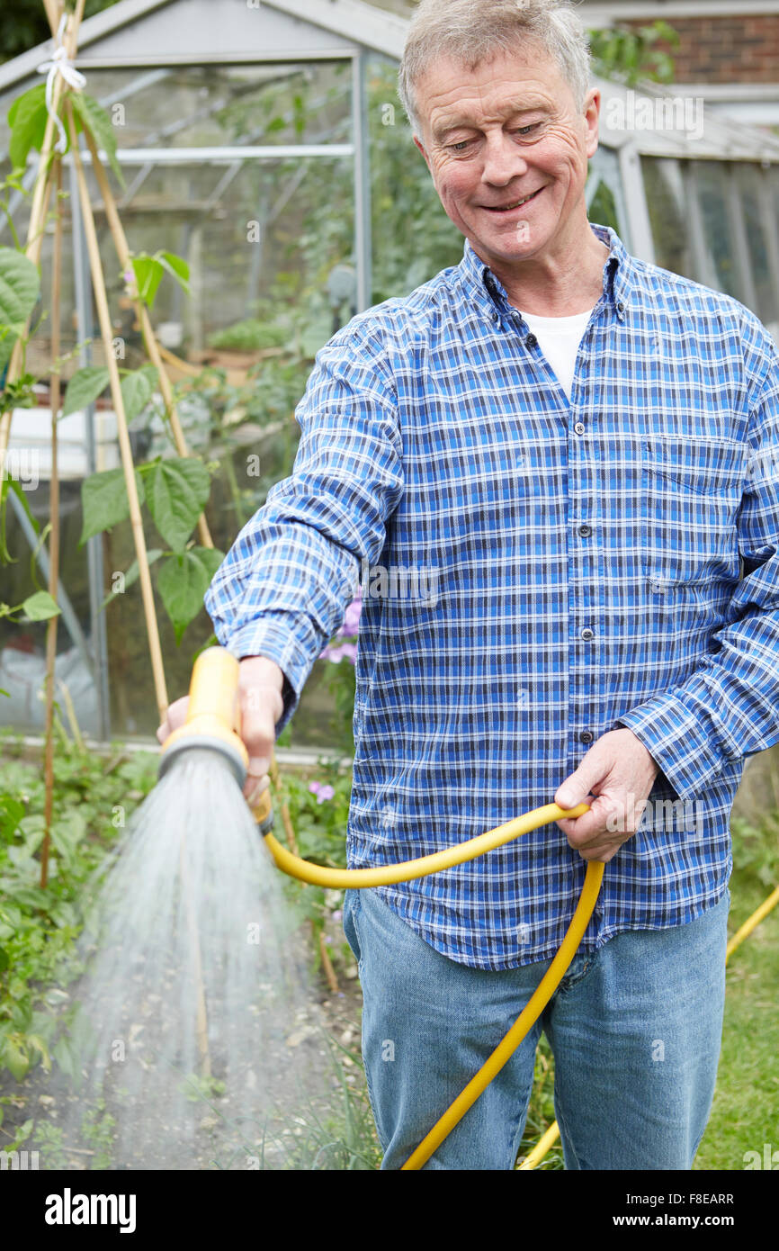 Senior Man Watering Garden With Hosepipe Stock Photo