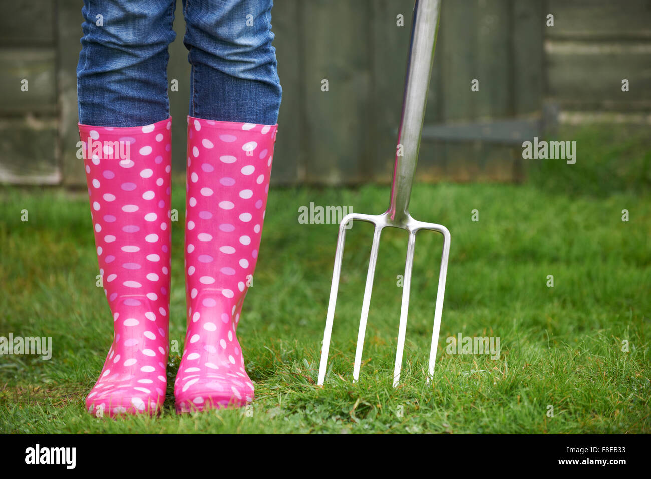 Close Up Of Woman Wearing Pink Wellingtons Holding Garden Fork Stock Photo