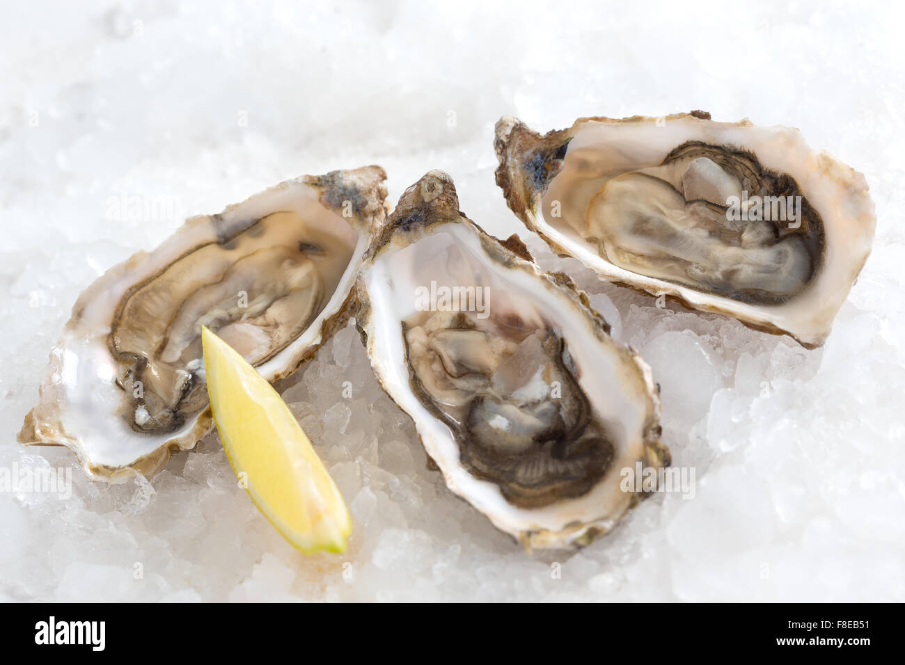 French appetizer oysters Stock Photo Alamy
