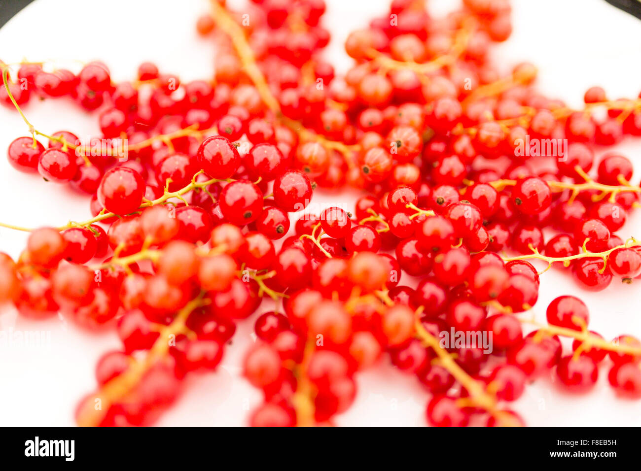 redcurrants Stock Photo