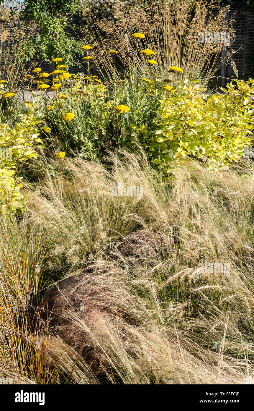 Ornamental grasses in a demonstration show garden in UK Stock Photo