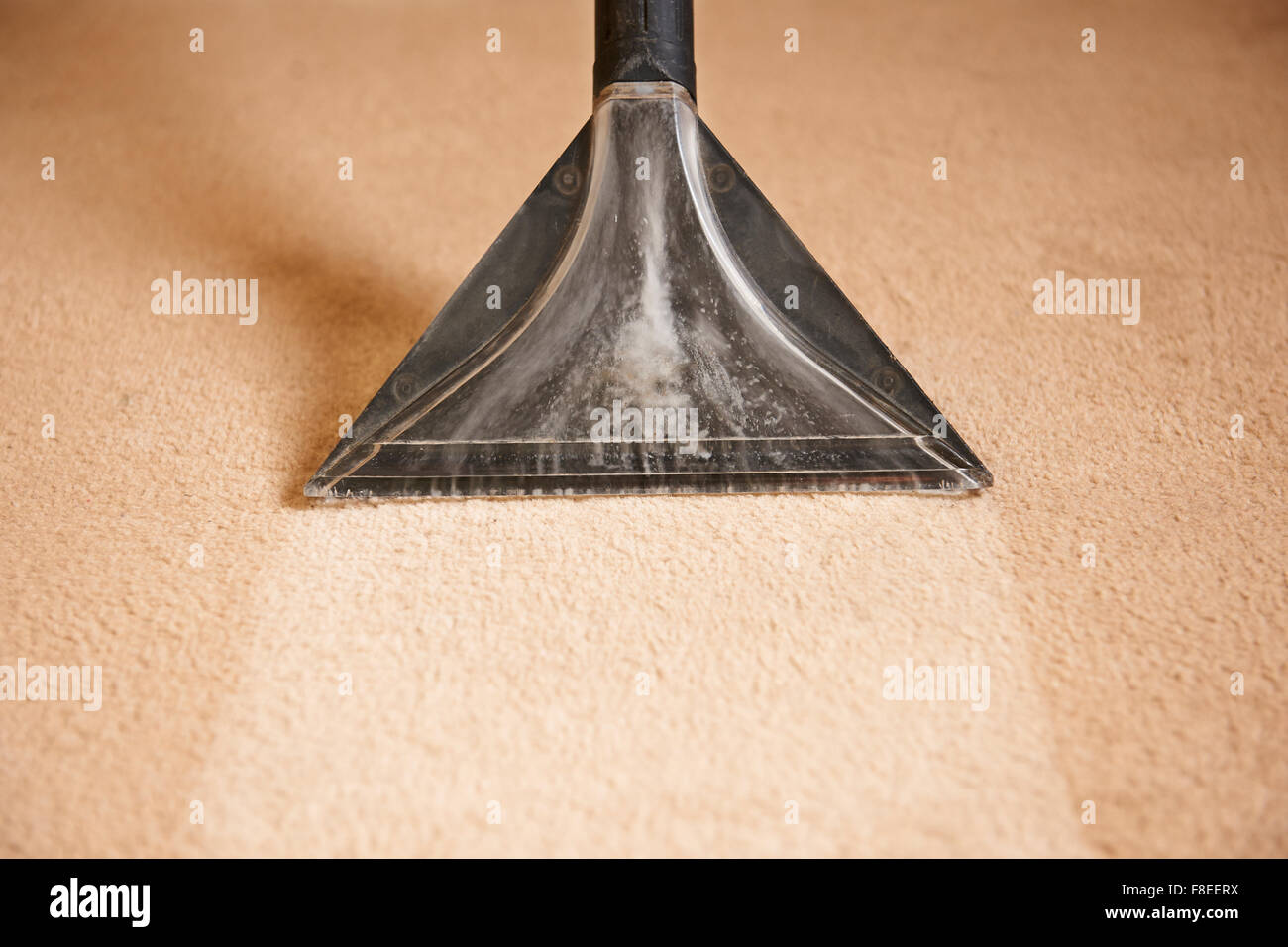 Equipment For Professional Carpet Cleaning Stock Photo