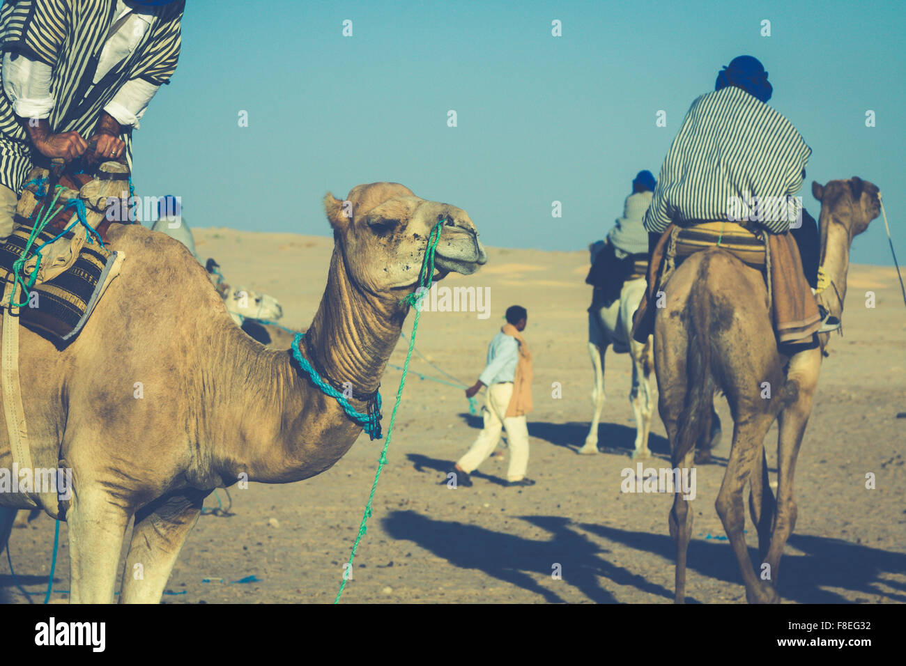 Beduins leading tourists on camels at short tourist tour around the beginning so called Doors of Sahara desert,Douz,Tunisia Stock Photo