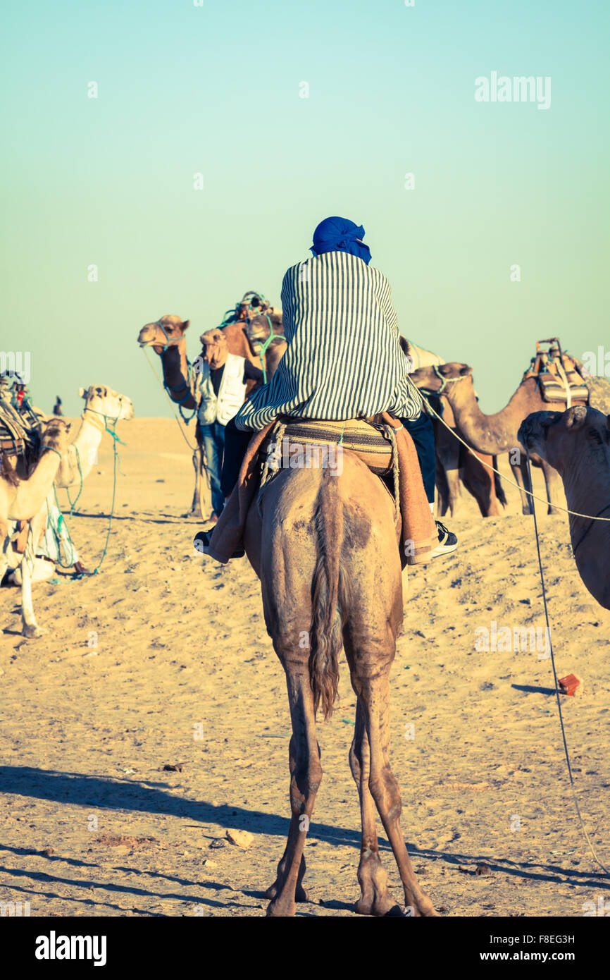 Beduins leading tourists on camels at short tourist tour around the beginning so called Doors of Sahara desert,Douz,Tunisia Stock Photo