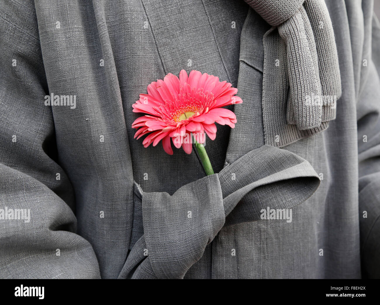 Protest against Park Geun-Hye, Dec 5, 2015 : A Buddhist monk with a flower attends an anti-government rally in Seoul, South Korea. The 'People's Camp for Rising Up and Fighting', representing various groups of farmers, students, workers and the poor, demonstrated on December 5, 2015 to oppose Park's regime to change the labor market which protesters insist, will allow easier layoff and more temporary workers and to monopolize the authorship of history textbooks. People wore masks at the rally to denounce Park who recently compared local protestors in masks to ISIS. The organizer said 50,000 pe Stock Photo