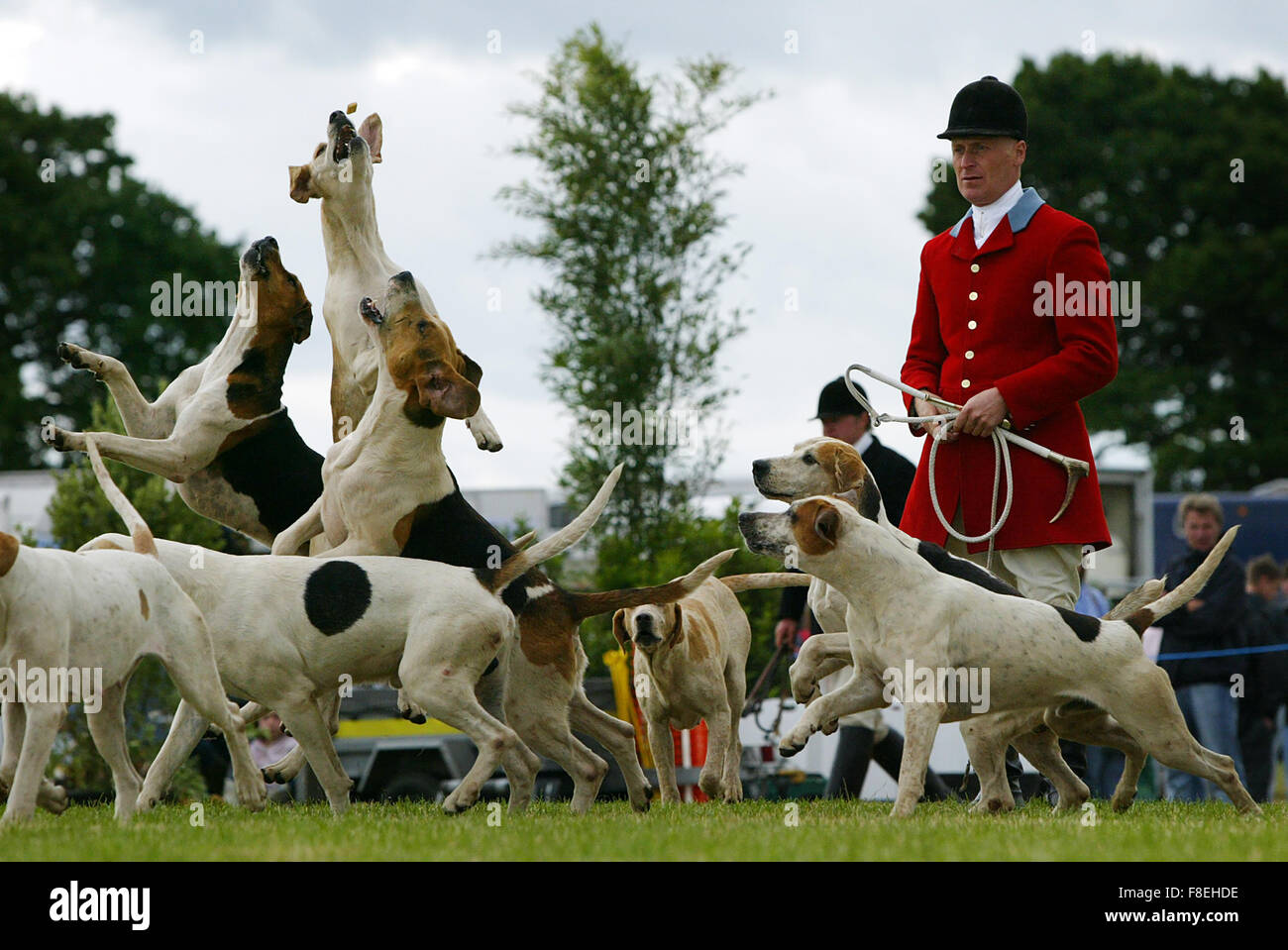 The Cheshire Show 2008.  A display by Cheshire Forest Hunt members. Stock Photo