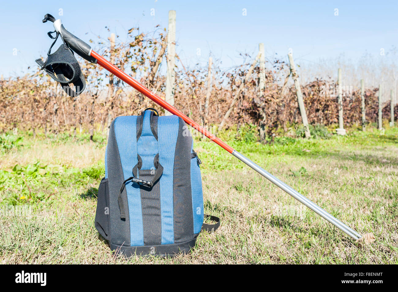 Backpack and sticks to do nordic walking on country roads. Stock Photo