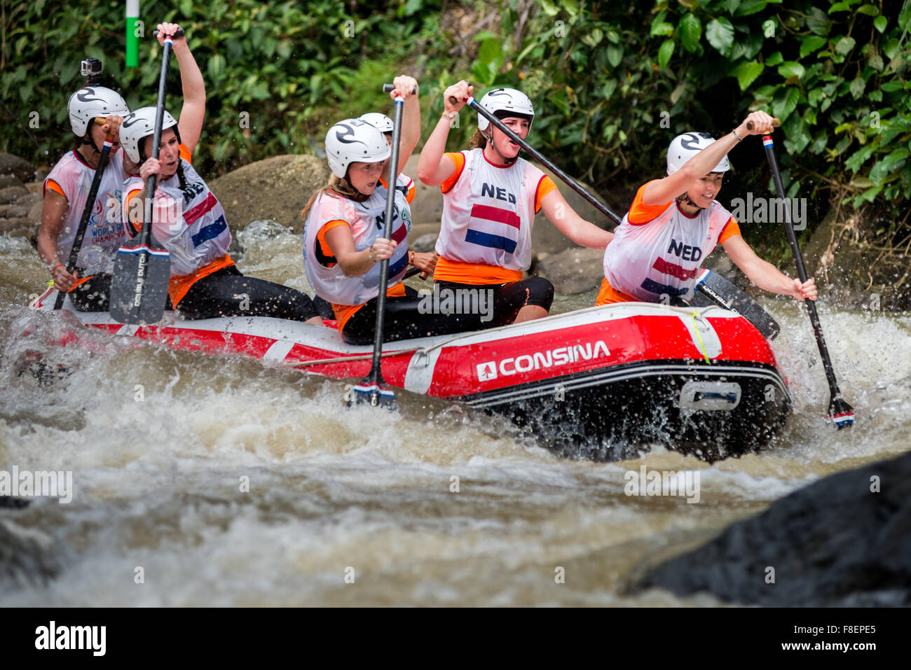 Netherlands open women's team during sprint race category on 2015 World Rafting Championship. Stock Photo