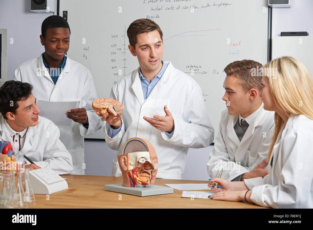 High school female biology teacher hires stock photography and images Alamy