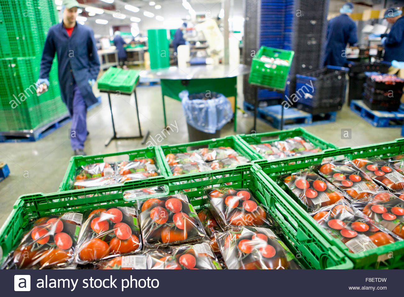 Food Processing Stock Photos & Food Processing Stock Images Alamy