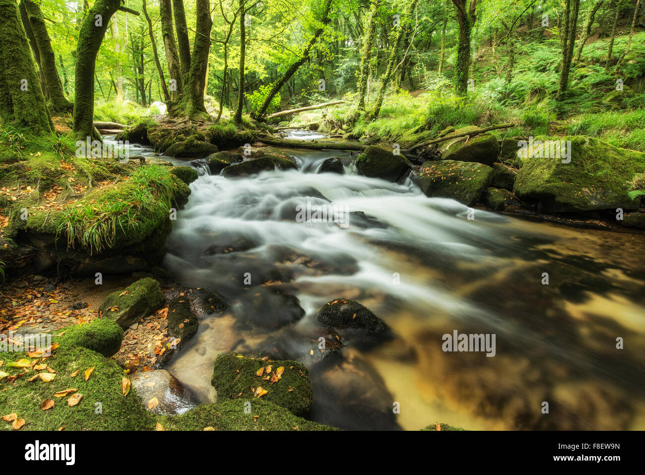 Landscape image of river flowing through lush green forest in Summer ...