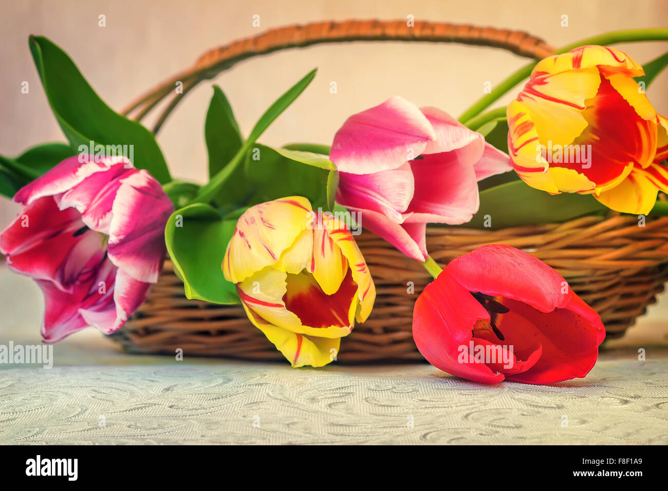 On the surface of the table is a wicker basket with big beautiful red ...