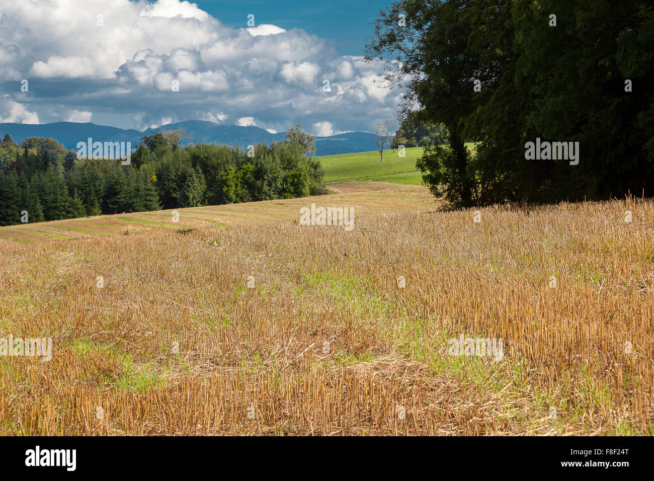 Field, Landscape in early autumn, South Germany. Stock Photo
