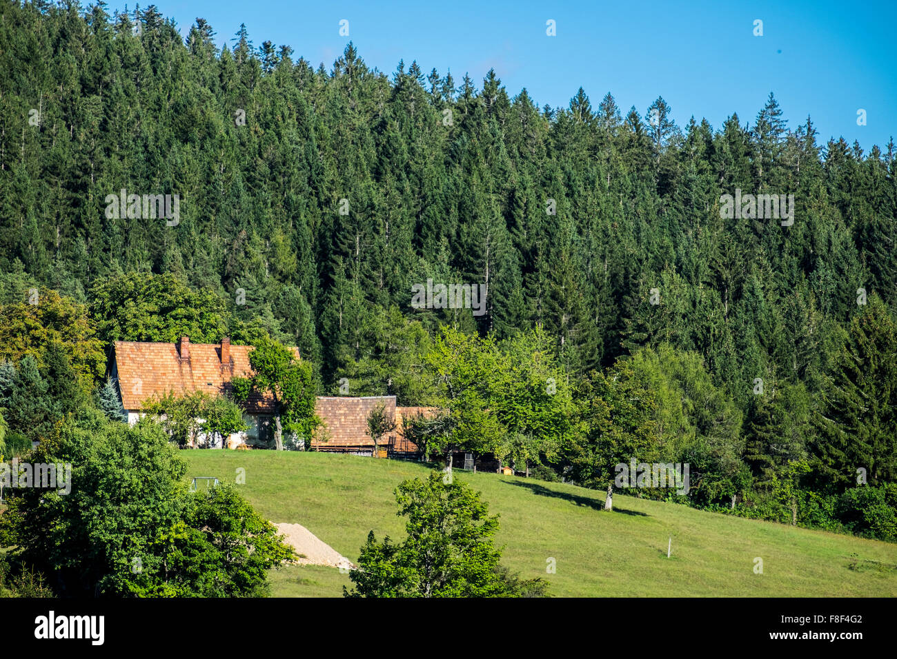 Loski potok hi-res stock photography and images - Alamy