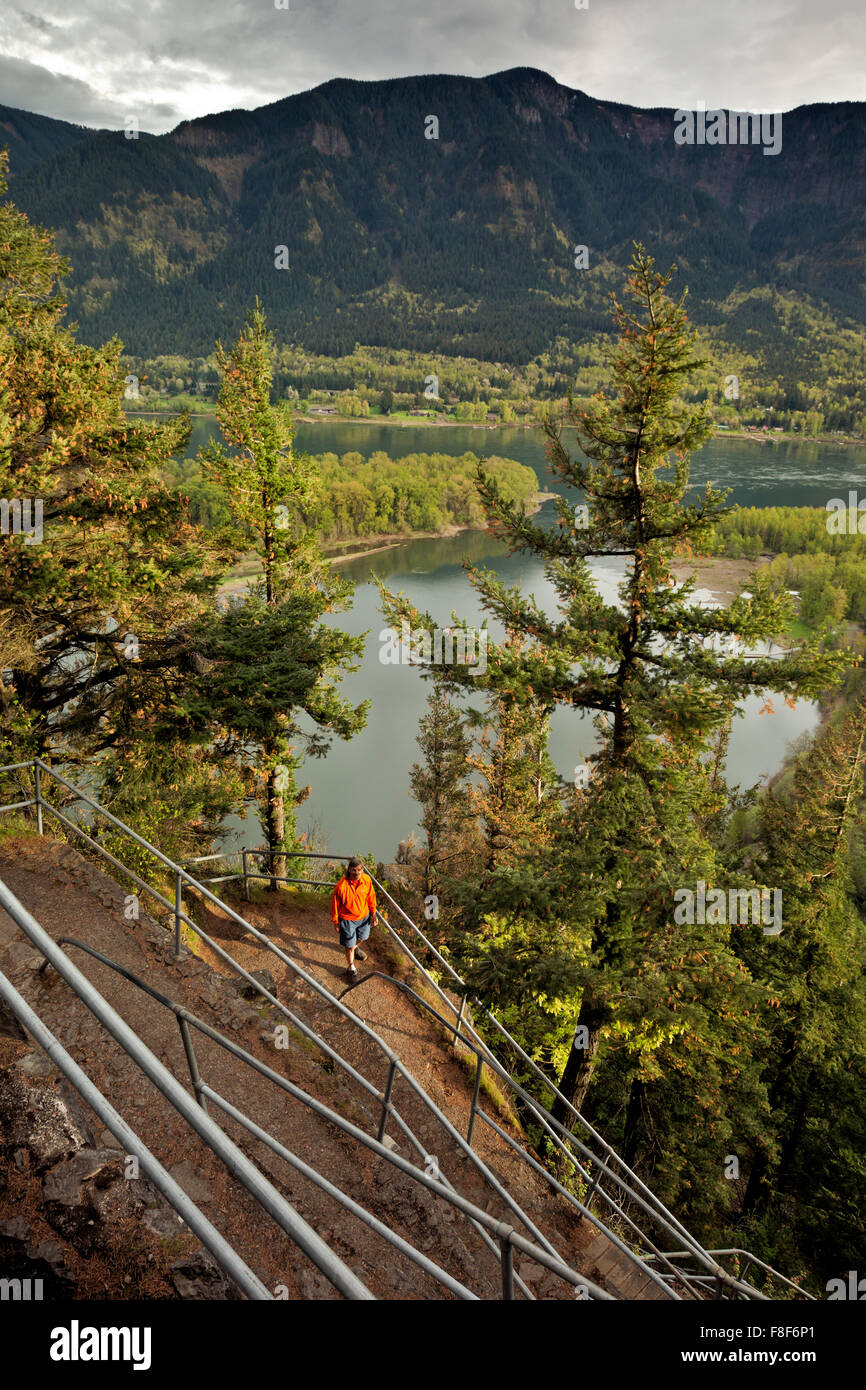 WA12267-00...WASHINGTON - Hiker on switchbacking trail up Beacon Rock ...