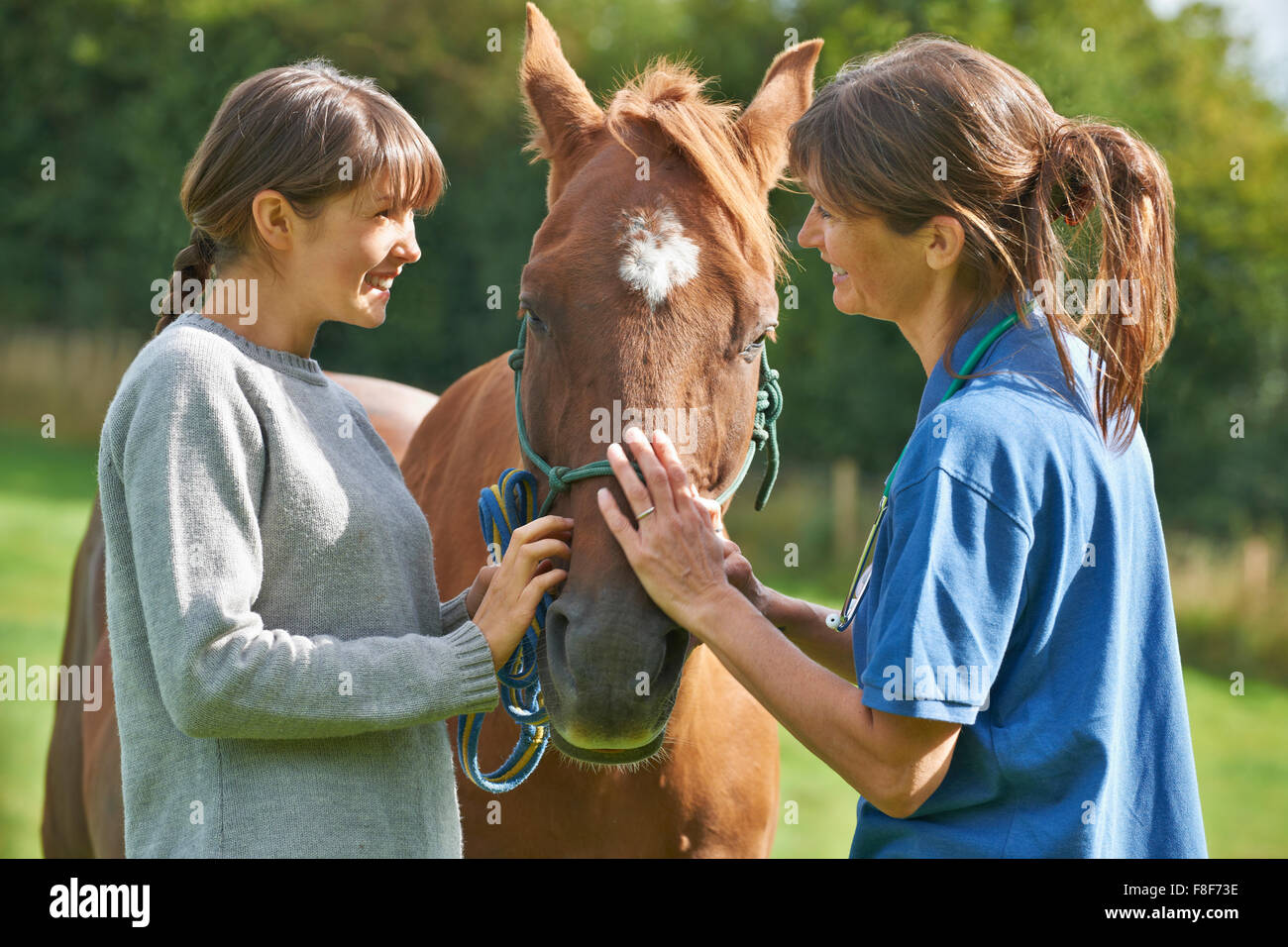Female Vet Examining Horse In Field With Owner Stock Photo