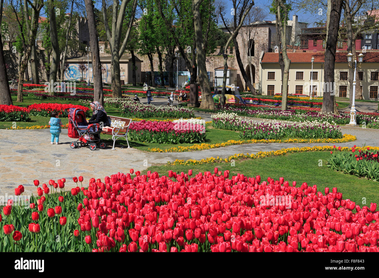 Tulip Festival, Gulhane Park, Istanbul, Turkey, Europe Stock Photo Alamy