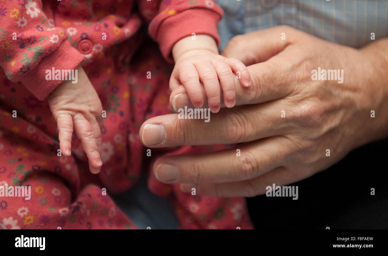 Adult and Young Child Holding Hands -1 Stock Photo - Alamy