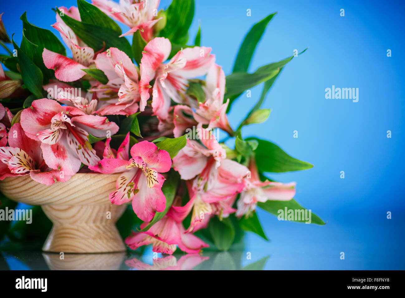 Alstroemeria Stock Photo