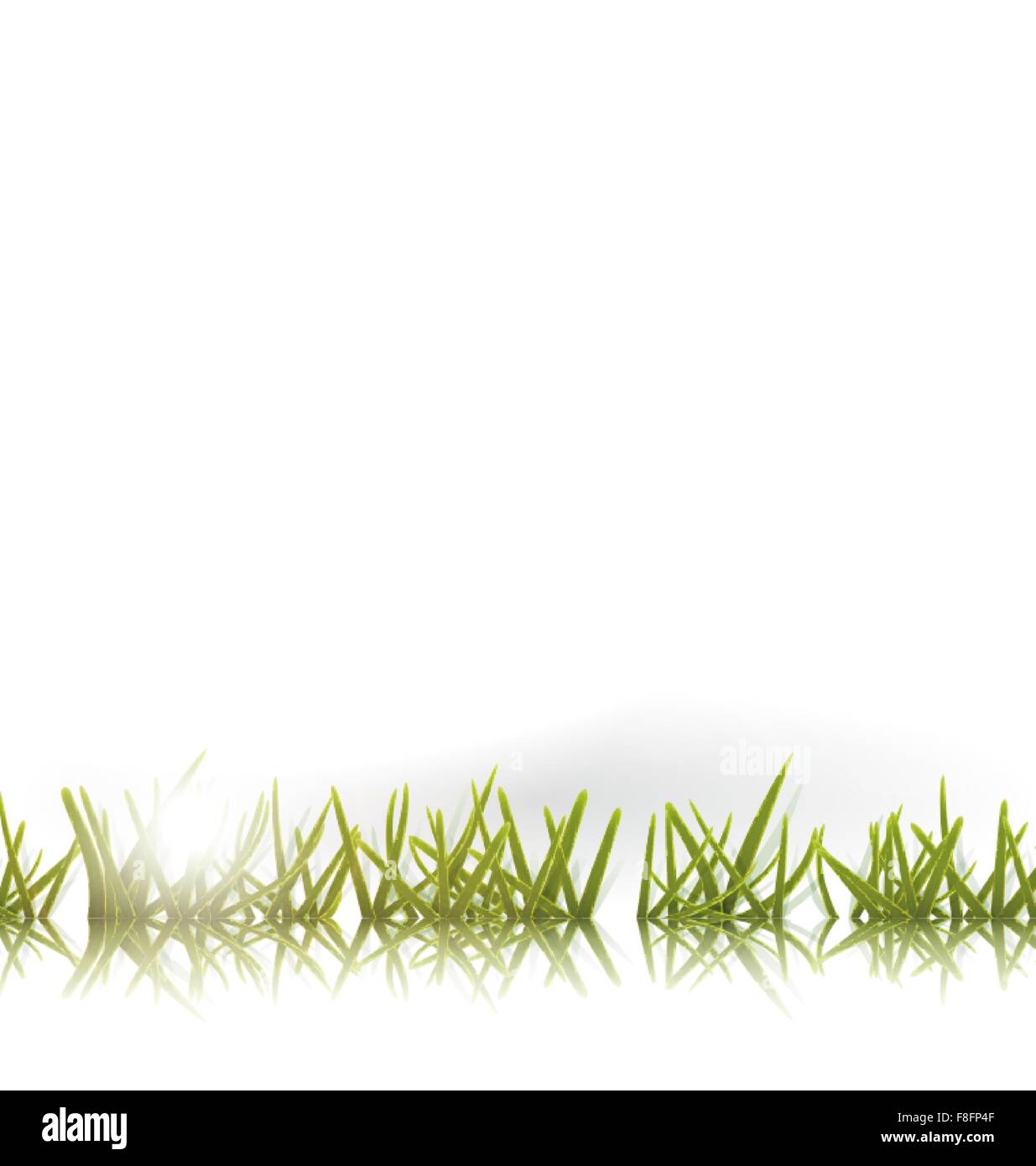 Green grass with reflection and sun isolated Stock Vector