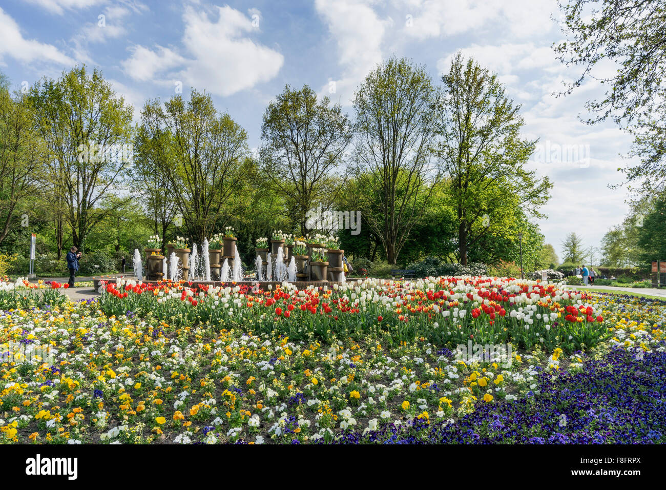 Tulips  in the  GARDEN OF THE WORLD, recreational park , Marzahn, Berlin Stock Photo