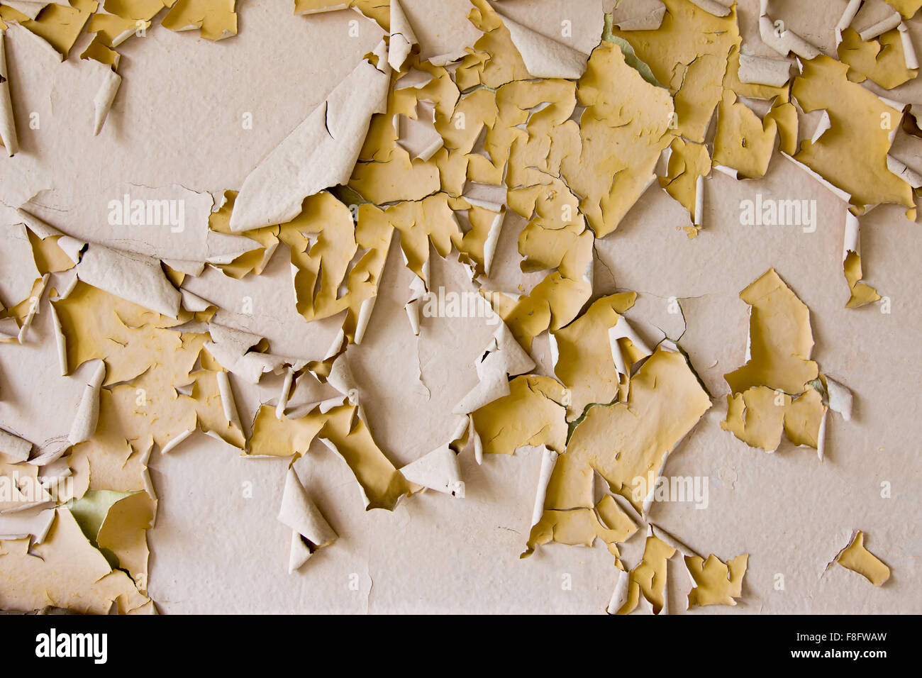 Old and flaking paint plaster Stock Photo Alamy