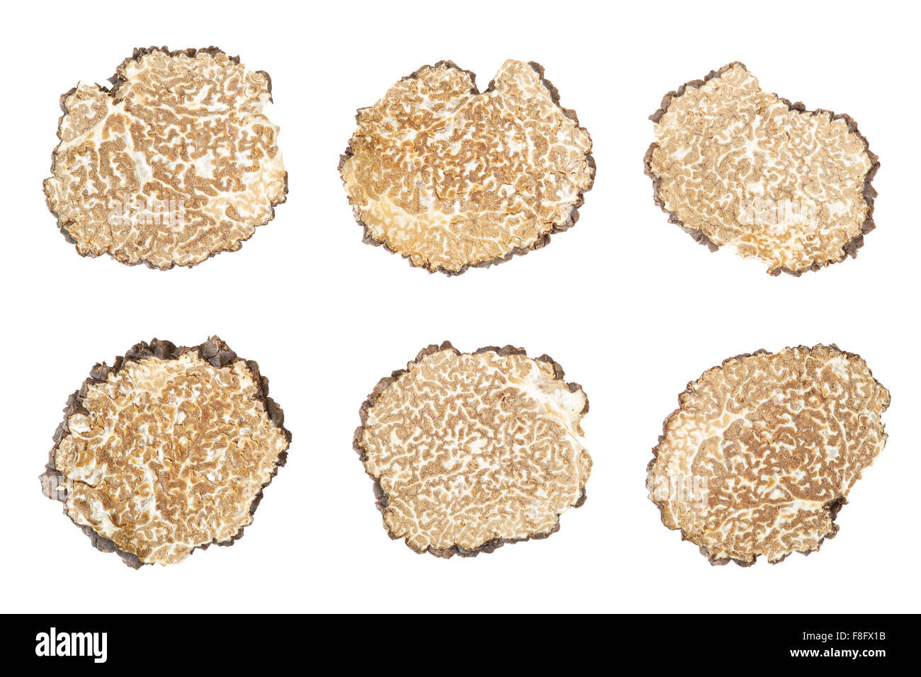 Black truffle slices collection on white Stock Photo