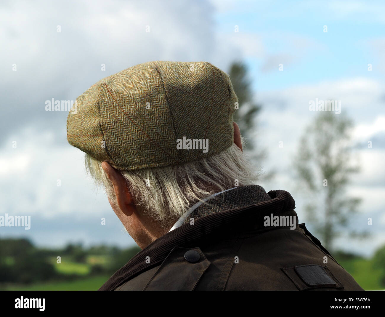 Rear view of anonymous grey gray haired man with cloth flat cap at country show Stock Photo