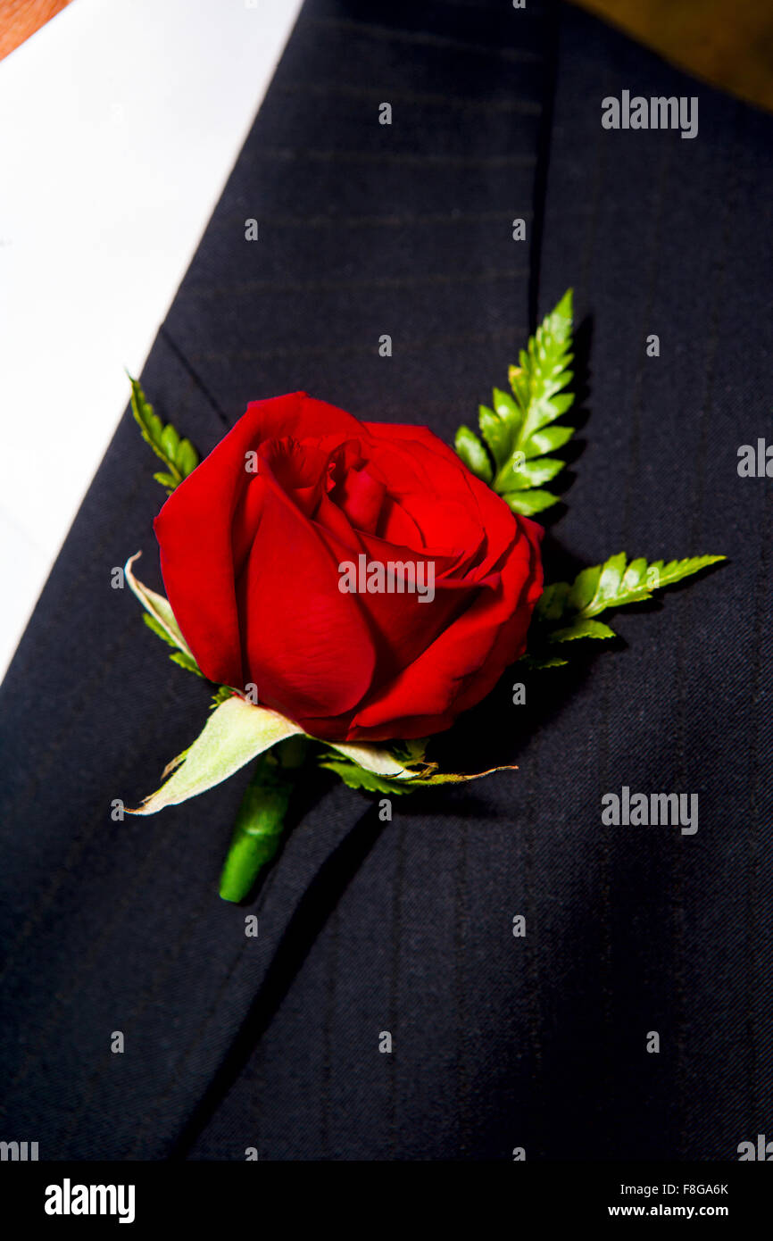 Red rose boutonnière Stock Photo