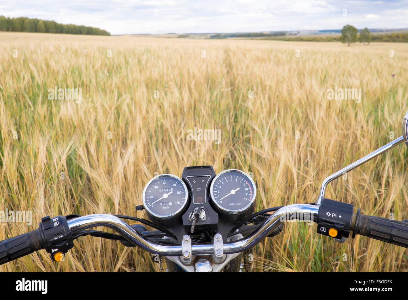 Motorcycle handlebar in tall grass Stock Photo
