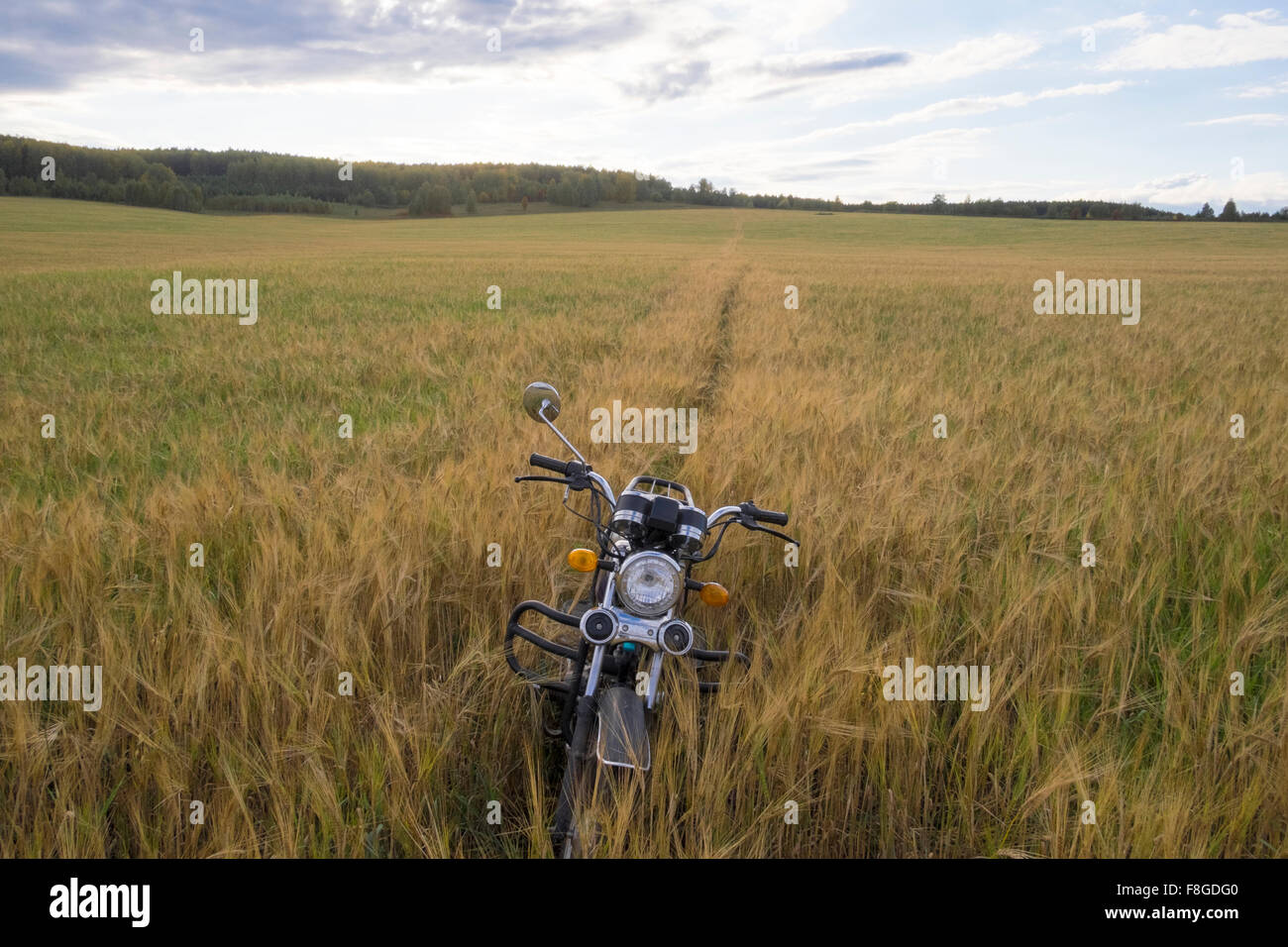 Motorcycle parked in tall grass Stock Photo