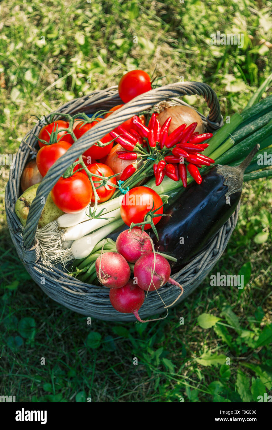 Group food high angle view hi-res stock photography and images - Alamy