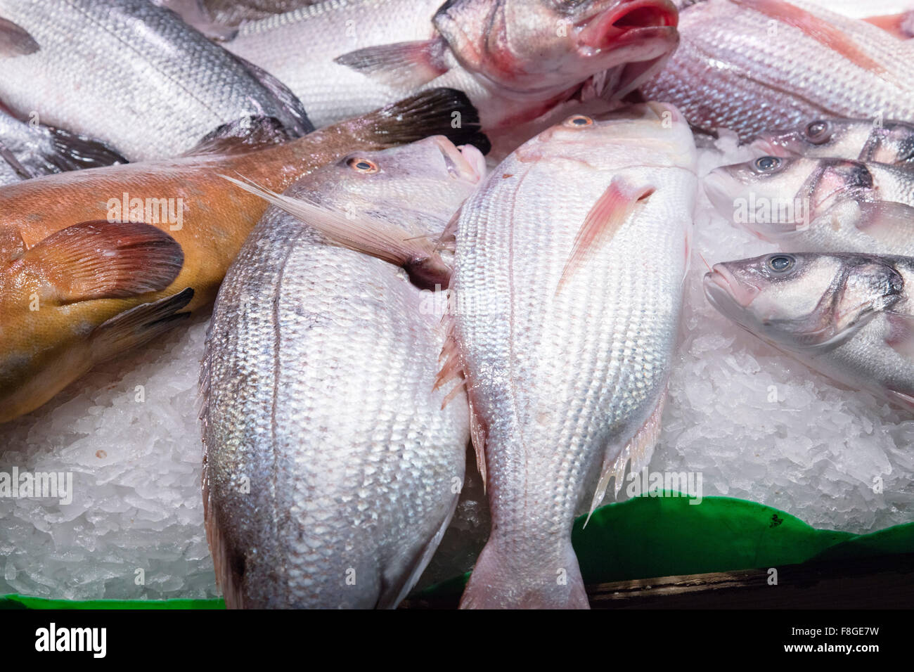 Fresh fish in a Spanish market Stock Photo Alamy