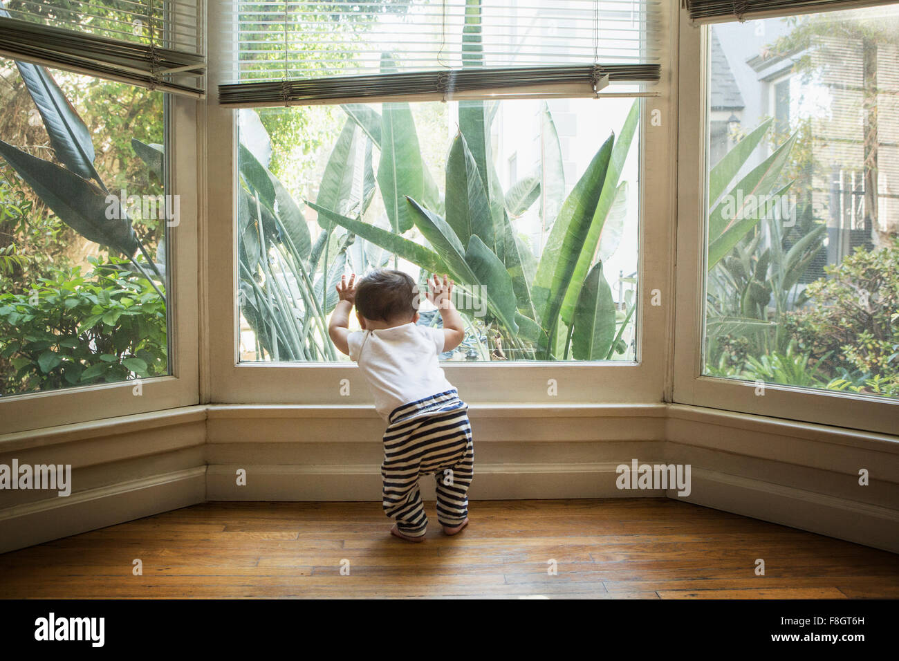 Baby boy looking out window Stock Photo Alamy