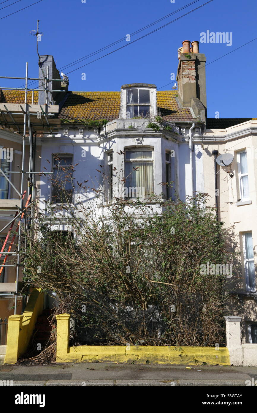 Derelict overgrown terrace house with tree covering entire front of terrace house in a street in Hastings UK Stock Photo