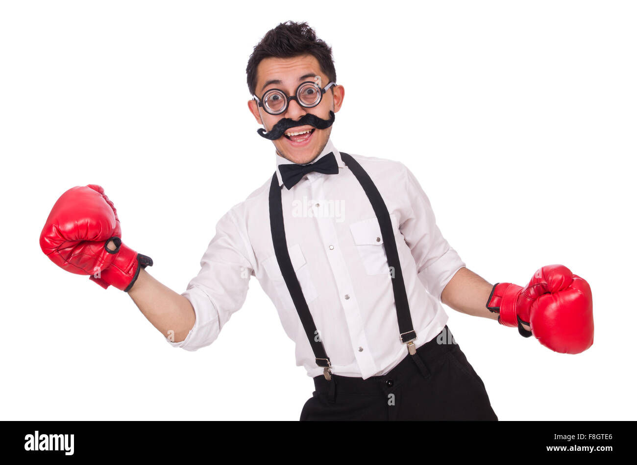 Funny boxer isolated on the white background Stock Photo - Alamy