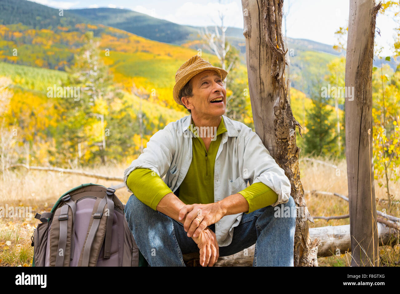 Man admiring autumn forest Stock Photo