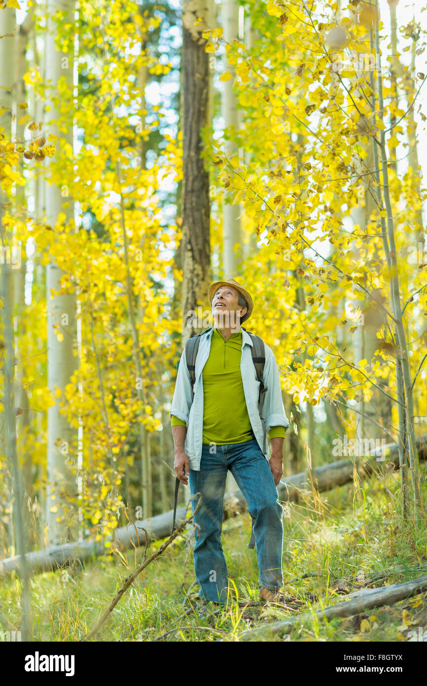 Man exploring autumn forest Stock Photo