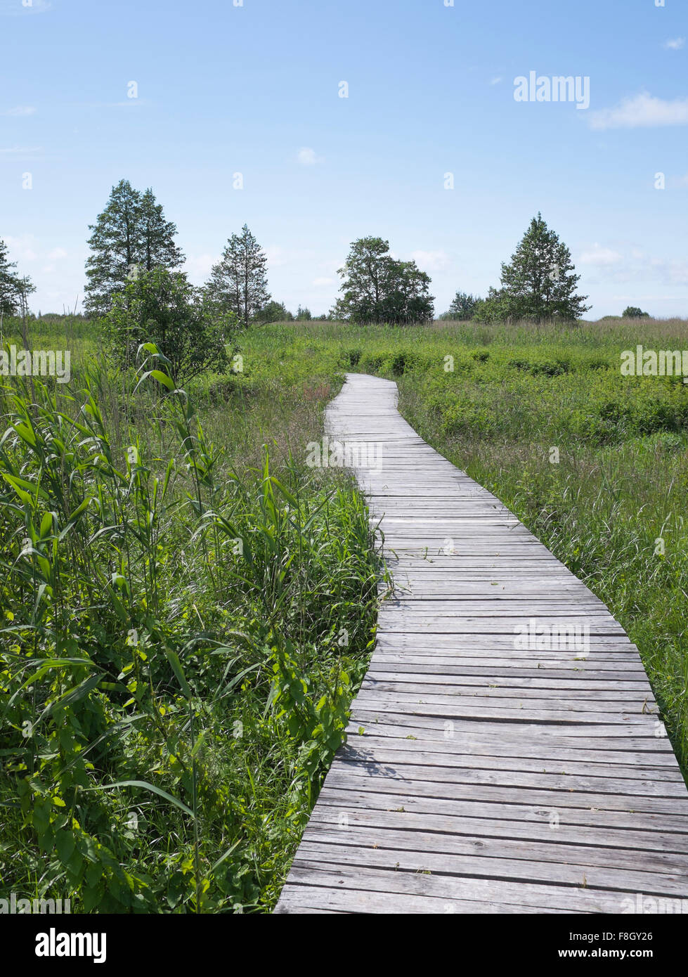 Wooden walkway in rural field Stock Photo