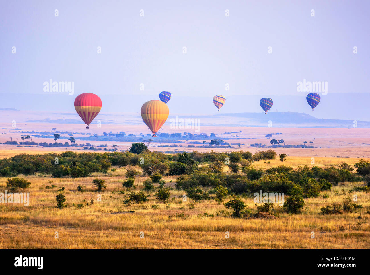 Hot air balloons flying over savanna landscape Stock Photo